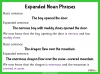 Phrases - Years 5 and 6 Teaching Resources (slide 8/18)